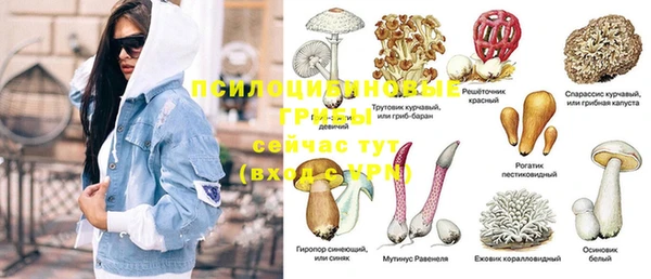 mdpv Абдулино