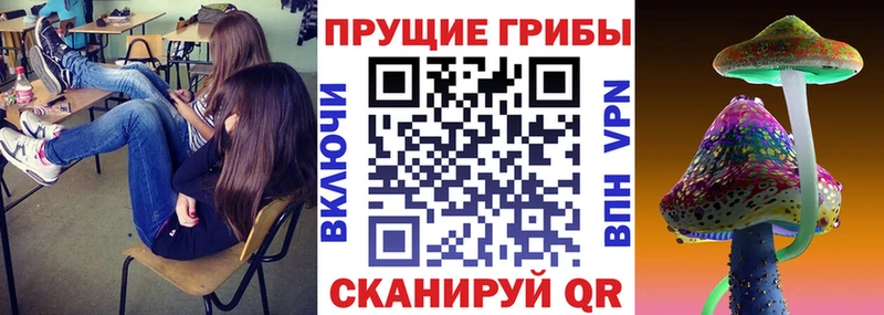 мега сайт  Нестеровская  Псилоцибиновые грибы прущие грибы 